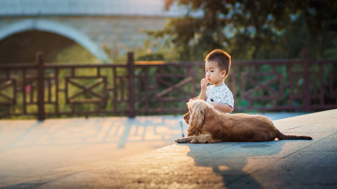 为什么父母和孩子会有代沟,为什么孩子长大后会跟你有代沟