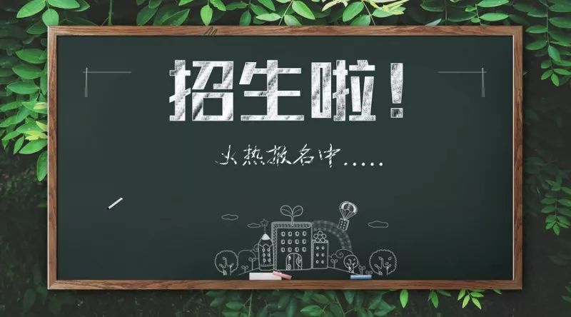 成都市小学入学条件最新政策文件,成都教育信息发布