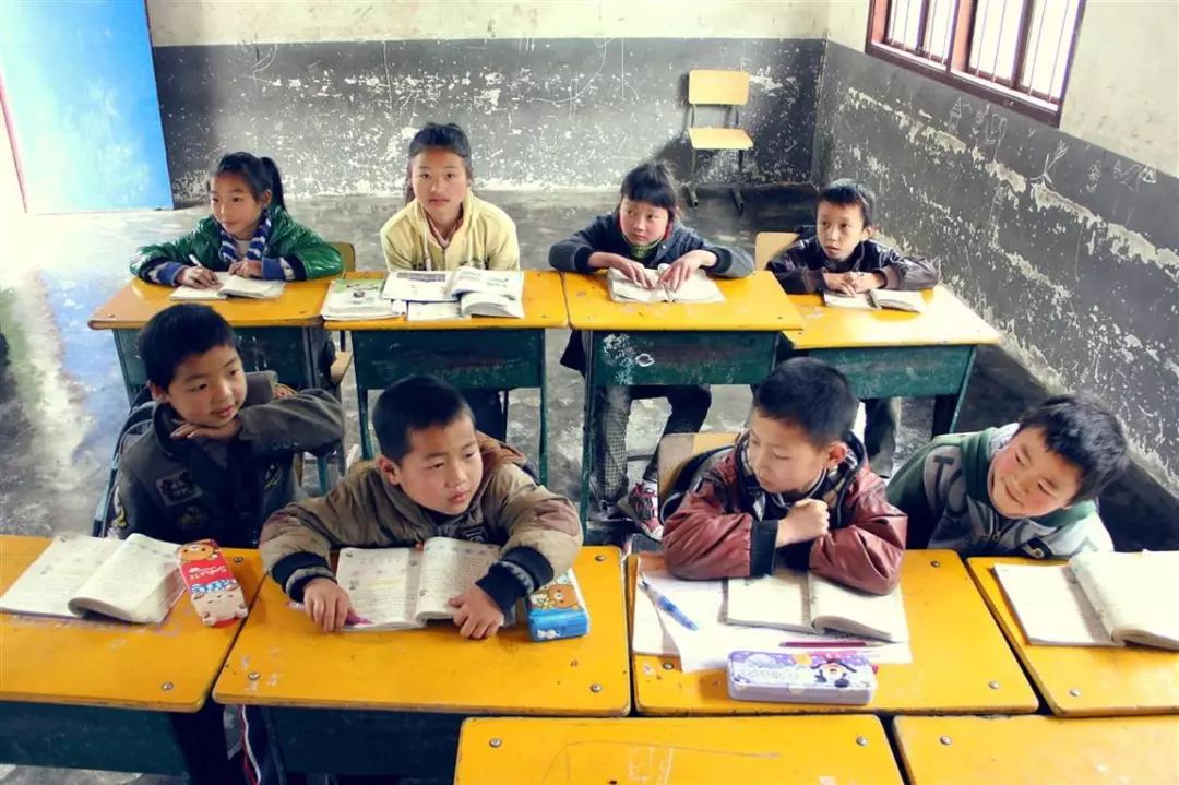 1268名大学生志愿者,20所高校志愿者