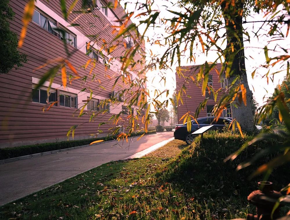 江西师大附中新校区,江西师大附中新龙校区最新进展