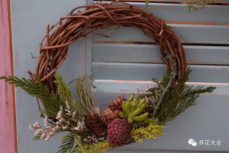 老外私家花园景观,国外多肉花园