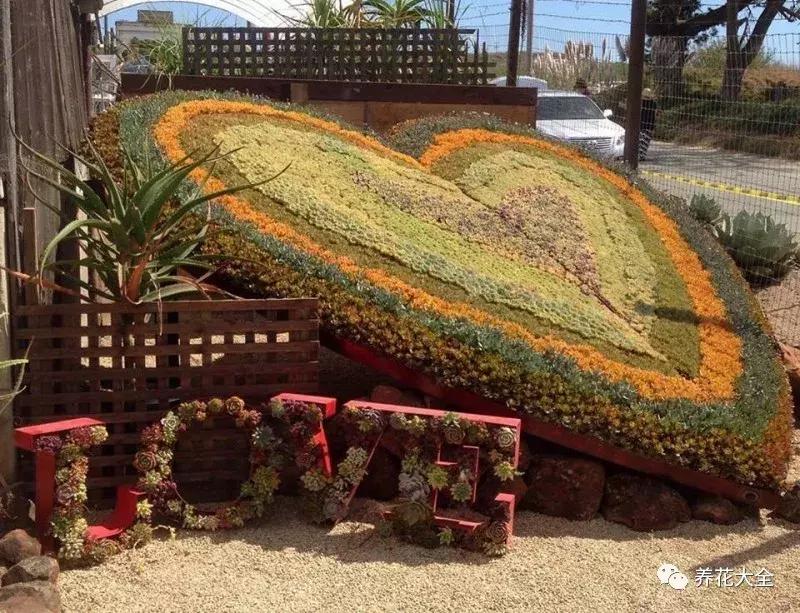 老外私家花园景观,国外多肉花园