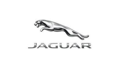 汽车车标中的动物,奇葩车标动物