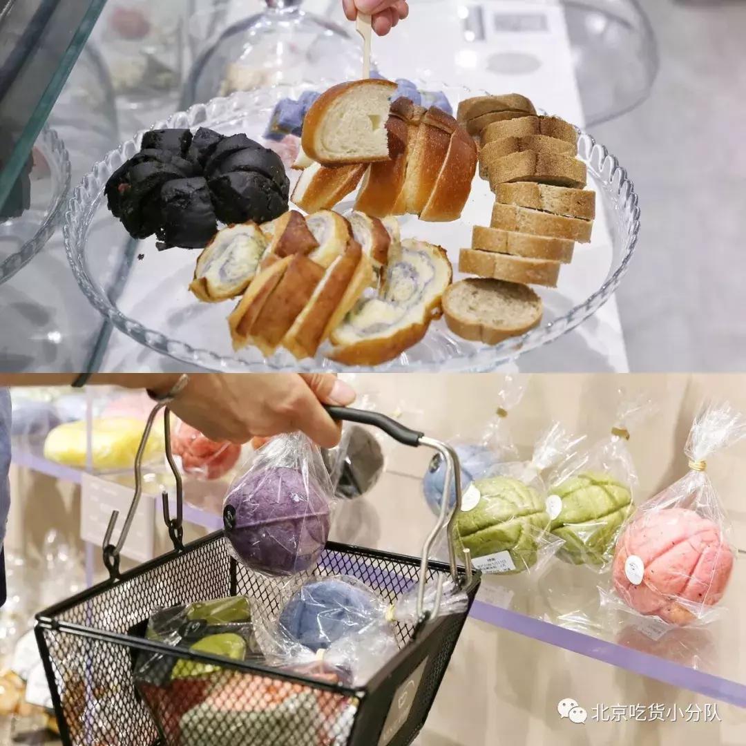 可爱的小奶狗吃冰激凌,小奶狗吃各种各样的冰淇淋