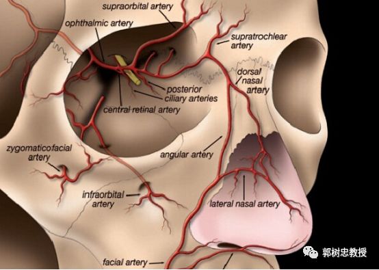 鼻整形话术,鼻整形沟通