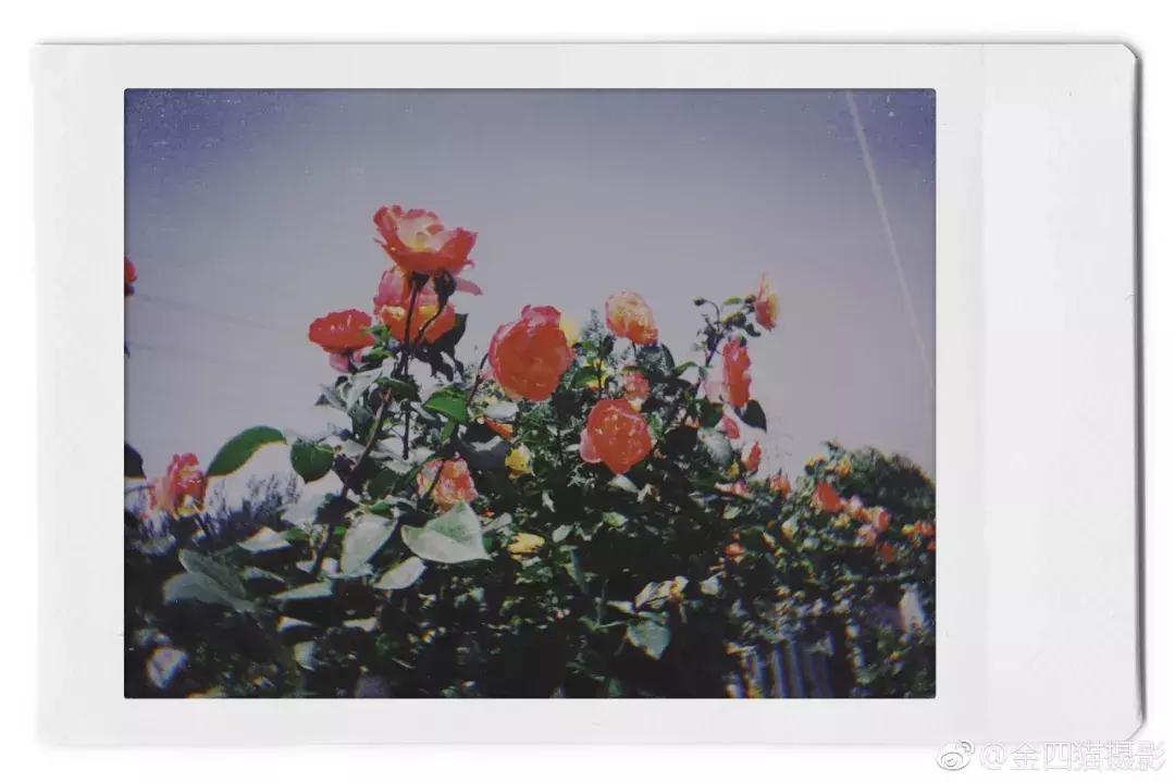 种草拍照好看的app,超赞的拍照app