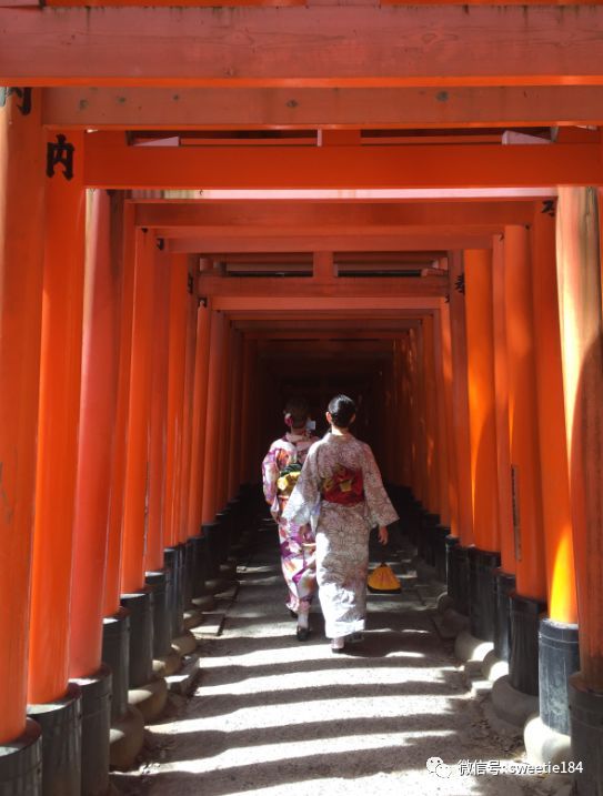 京都大阪奈良旅游游记,暴走大阪京都