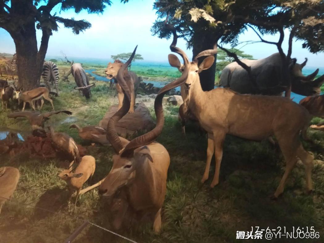 失恋博物馆、珠算博物馆···在*今条头日**上尽情领略博物馆之美