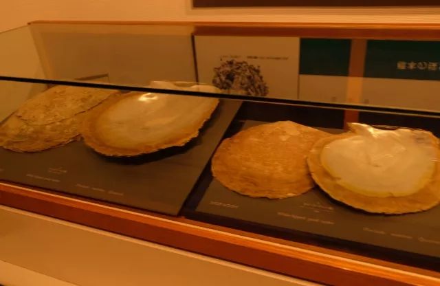 王珠宝寻宝日记：探访珍珠小城日本三重县鸟取市