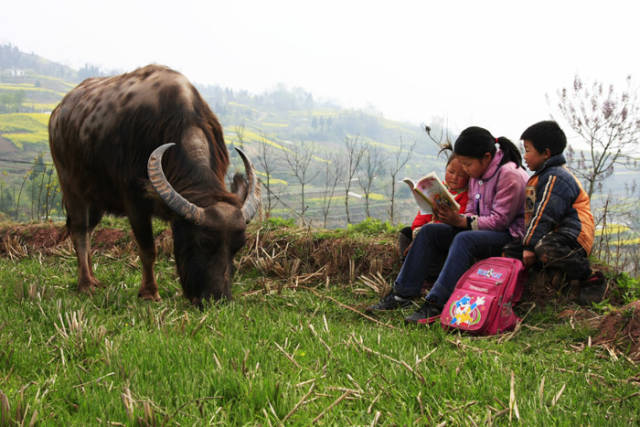 江西遂川老家视频,遂川县城的老县城照片