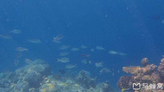 蜜月之都马尔代夫,蜜月旅行之马尔代夫