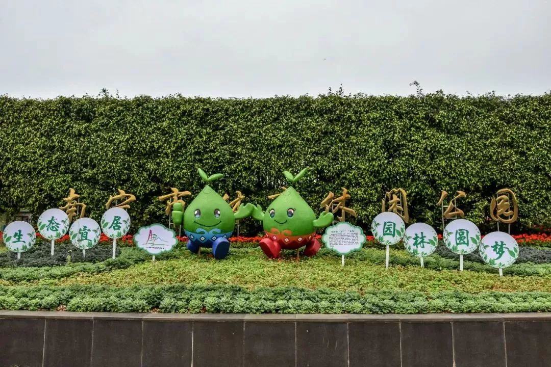 南宁烧烤去哪里好玩,2021年南宁市适合烧烤的地方