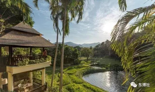 清迈四季酒店亲子,清迈四季酒店景观设计