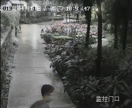 罗技摄像头c1000e画面模糊,倒车摄像头不清楚模糊怎么处理