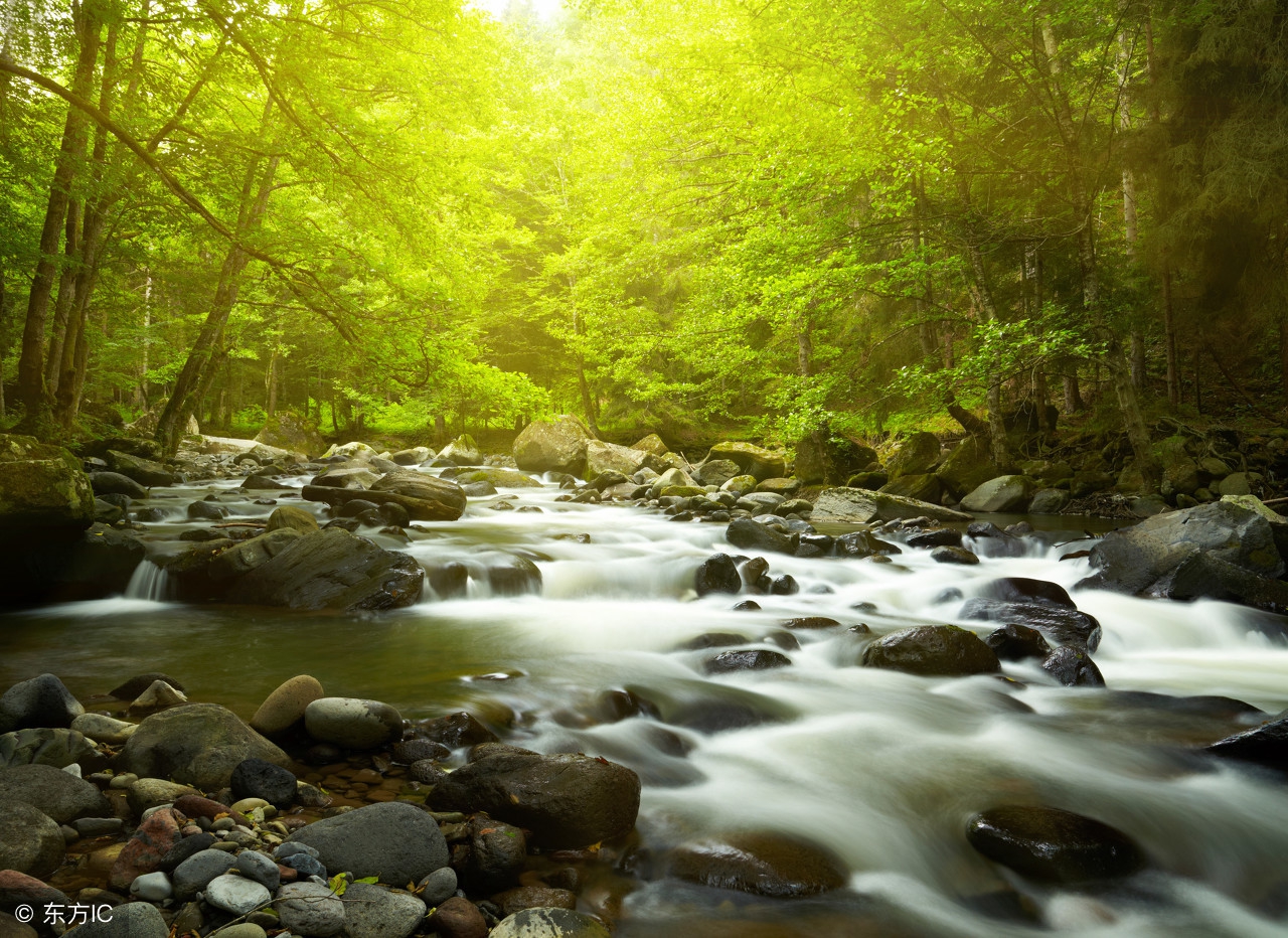 2018年初申请什么信用卡容易下卡 (2018信用卡白金卡怎么好申请)