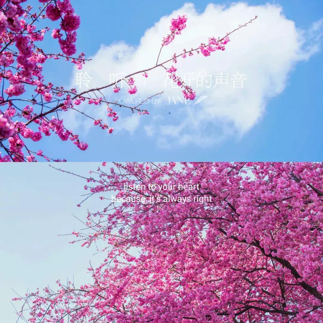 大理每个季节都很美,在大理每天都是那么的美好