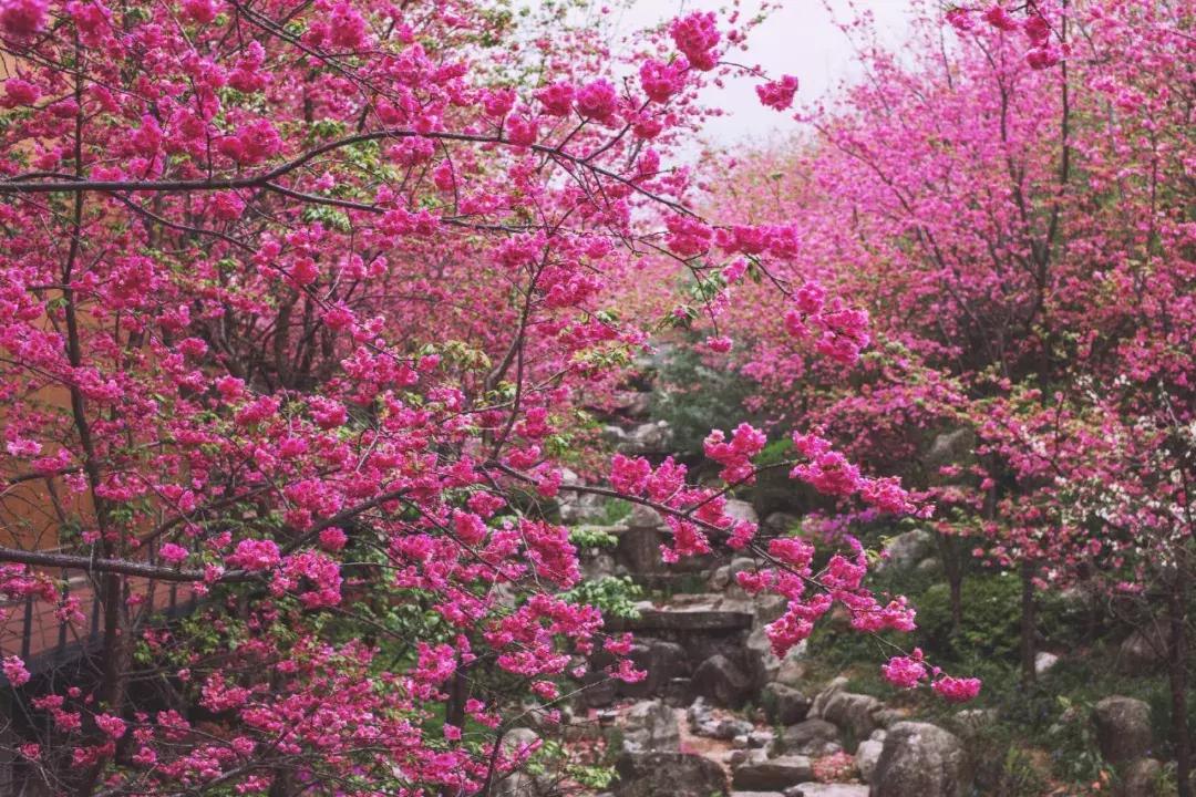 大理每个季节都很美,在大理每天都是那么的美好