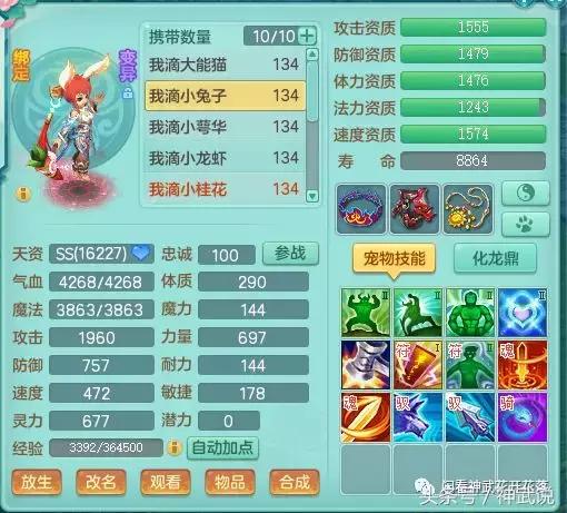 神武3龙宫攻略,神武3好名字大全