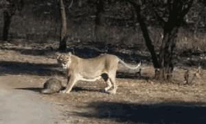 最可怕的代购骗局,代购十大骗局揭秘图