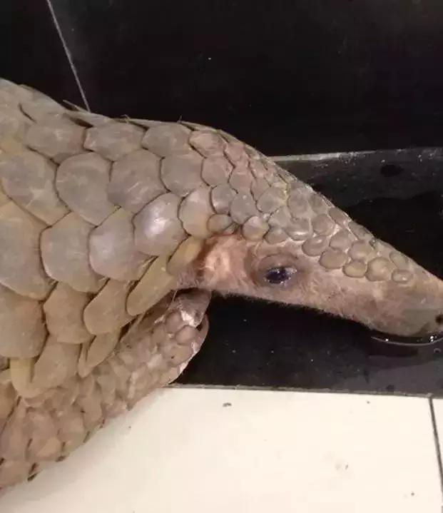 最可怕的代购骗局,代购十大骗局揭秘图