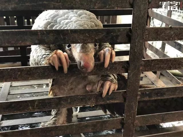 代购骗局揭秘朋友圈,朋友圈里卖低价服装的真相