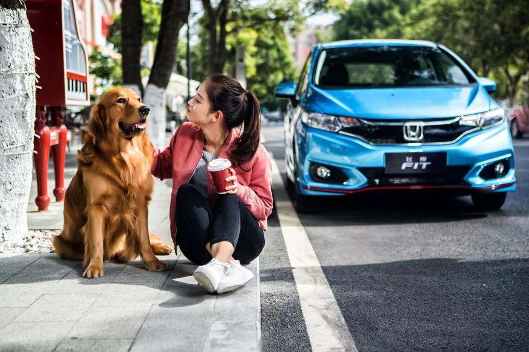 大众poloplus和本田飞度哪个好,大众polo丰田威驰本田飞度