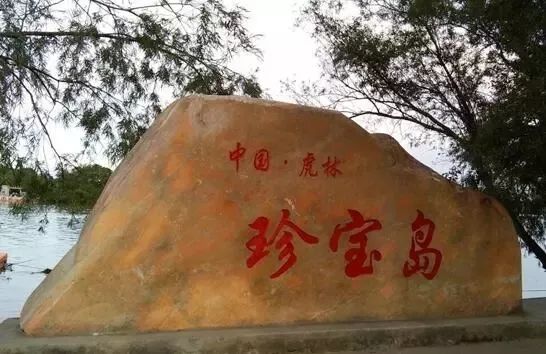 黑龙江好消息在哪里看,外交部黑龙江全球推介活动