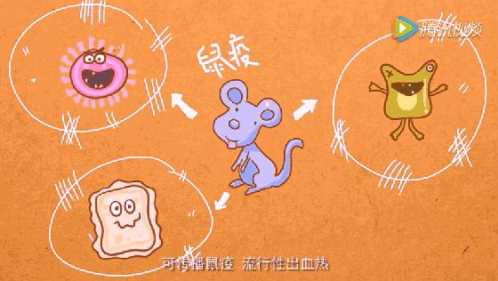 四害消杀温馨提醒,除四害科普小知识