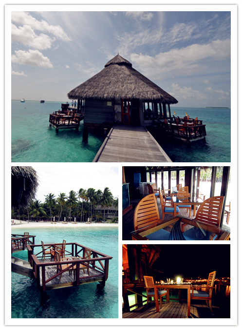 马尔代夫哈拉微莉岛游记,马尔代夫娇丽岛旅游攻略