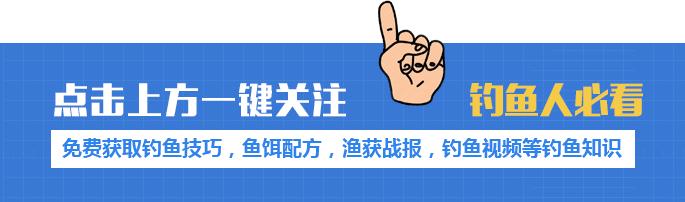 夏季钓草鱼最佳时间,这个季节用什么钓草鱼好