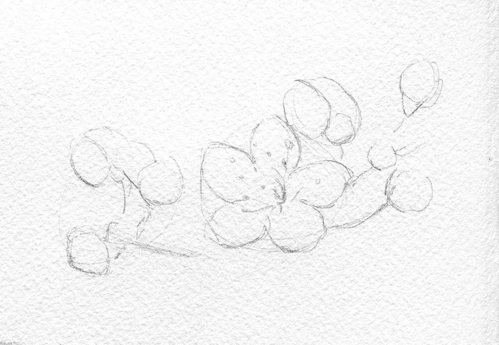 名师教你画桃花,崔老师教你画桃花