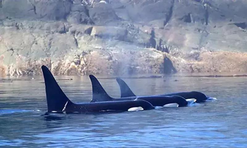 海外代购的暴利秘密 (代购圈乱象)