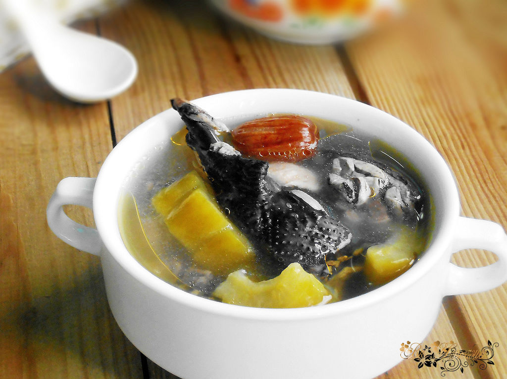 黑毛鸡的特点,有一种黑鸡叫什么名字