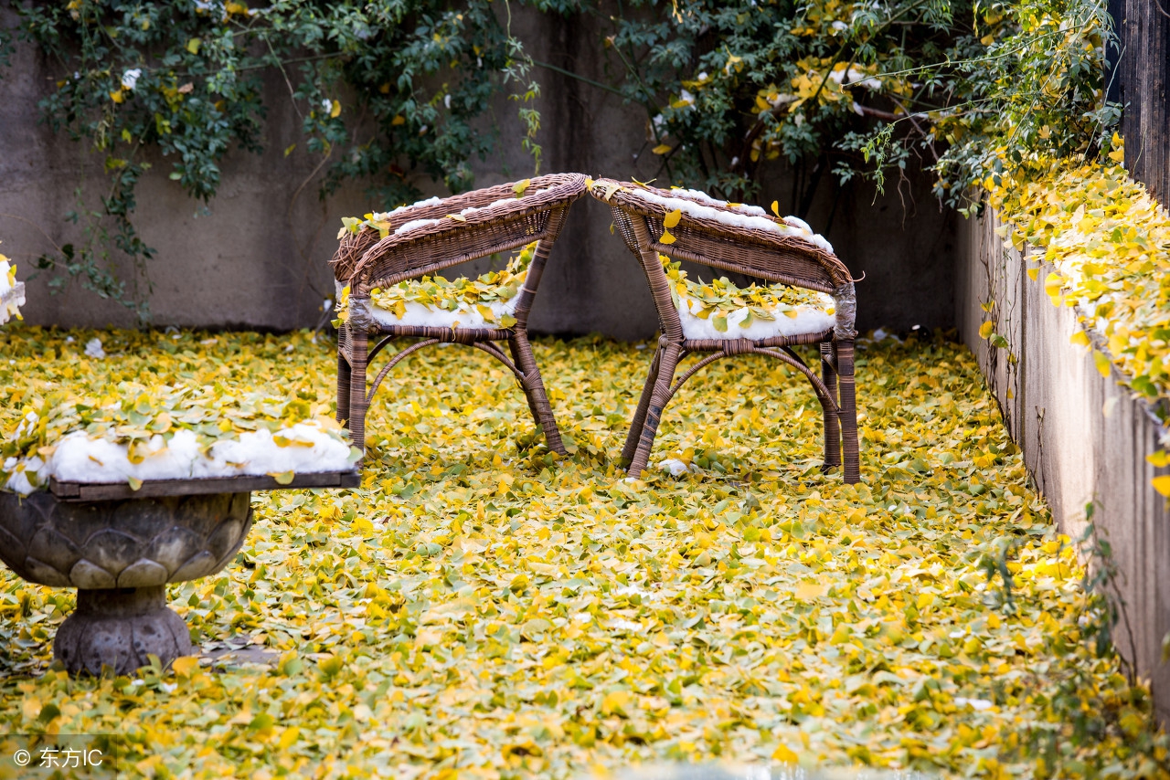 刘若英歌曲后来致我们逝去的青春,刘若英后来简短版