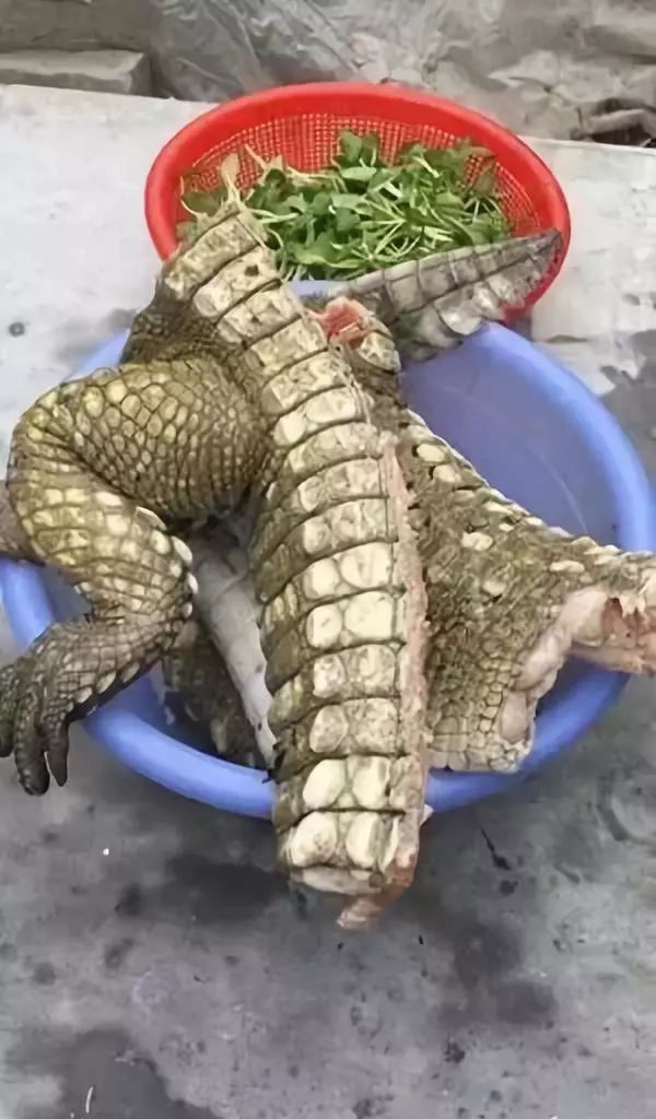 代购究竟有多暴利,代购骗局揭秘朋友圈