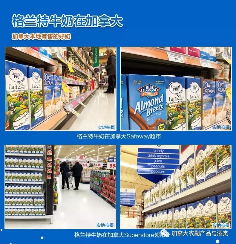 真正原装进口国货牛奶,新西兰牛奶粉原装进口