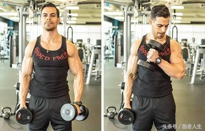 手臂是健身的基础吗,手臂是练肌肉的基础吗