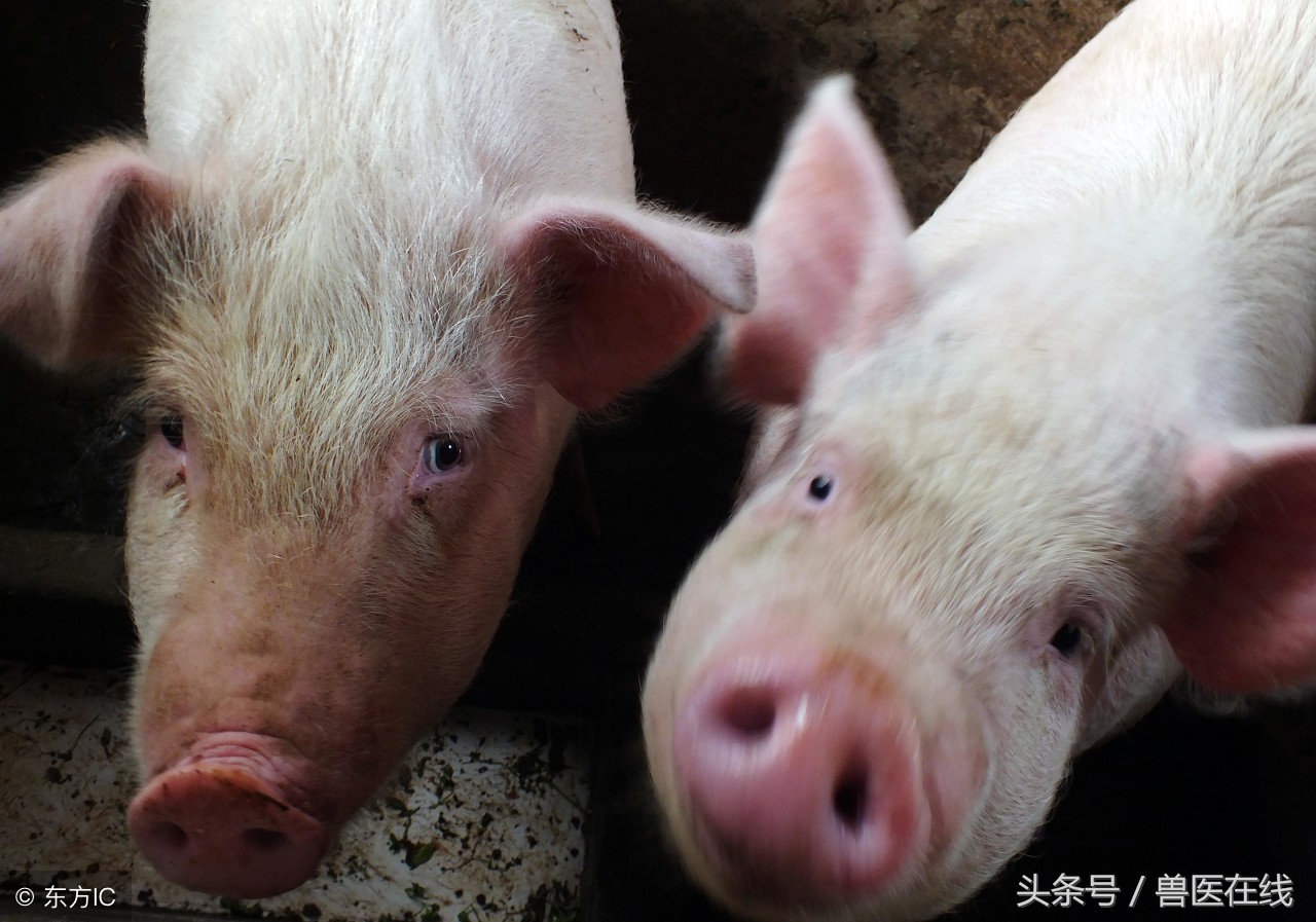 拨开迷雾见天日,拨开迷雾特效