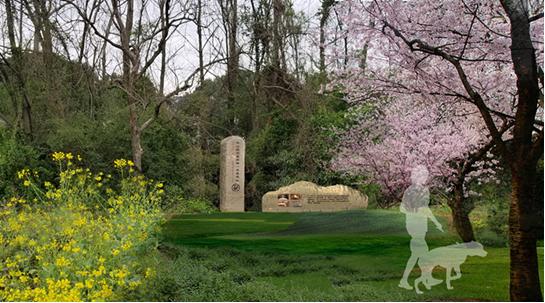 运河体育公园体育馆建成,公园广场最新建设项目