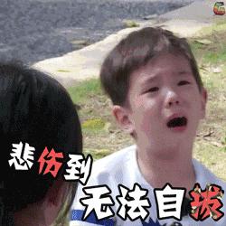 热Cry的三伏天，不开空调怎么续命？