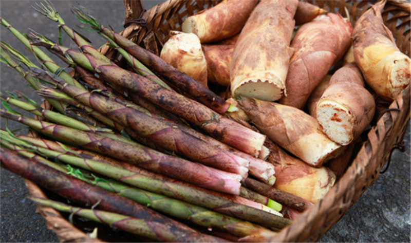 竹笋和什么菜炒比较好吃,竹笋搭配什么菜好吃