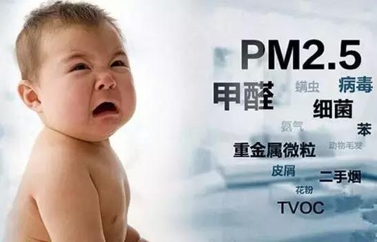 硅藻泥必看,硅藻泥十大黑幕