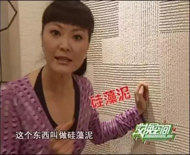 硅藻泥必看,硅藻泥十大黑幕