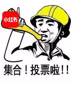 偶练和101哪个先出,偶练对比101