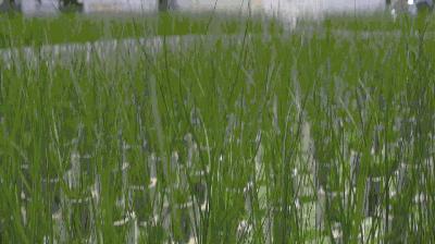 杭州未来生活节预约,杭州国际未来生活节