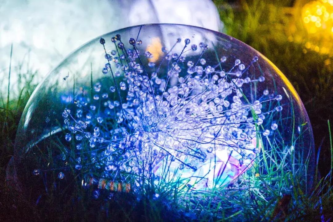 南艺你不知道的事,南艺的真实生活