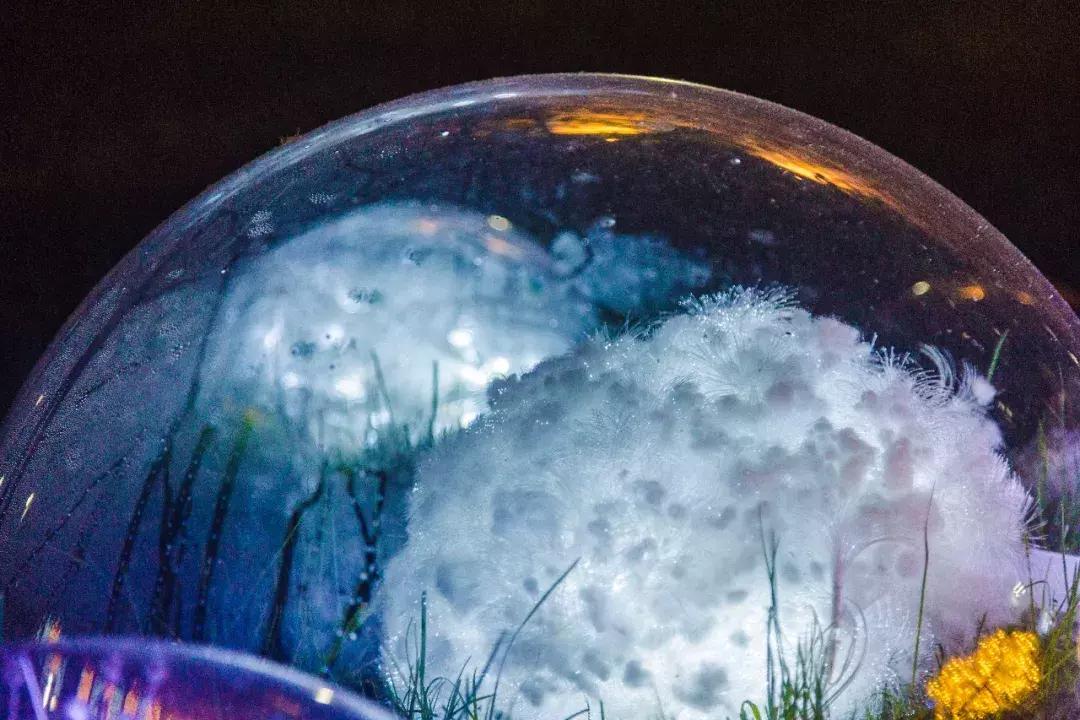 南艺爆料,南艺日常