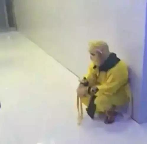 鹿泉市交警,鹿泉交警通知