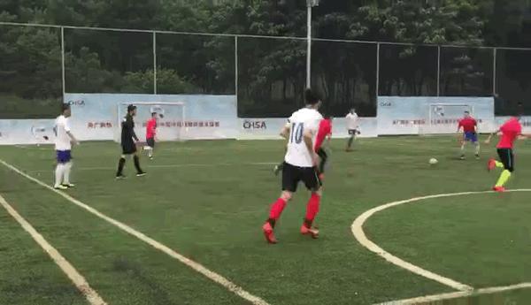 紫禁之巅31-40,紫禁之巅1-40集解说