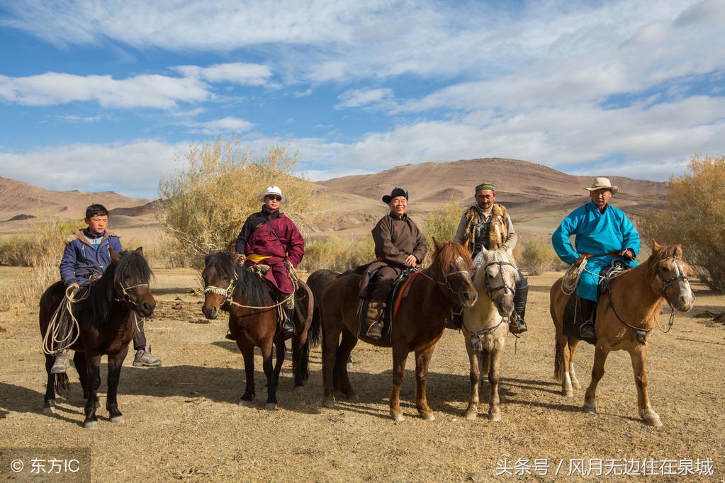 蒙古马和套马图片,蒙古套马绳子教学